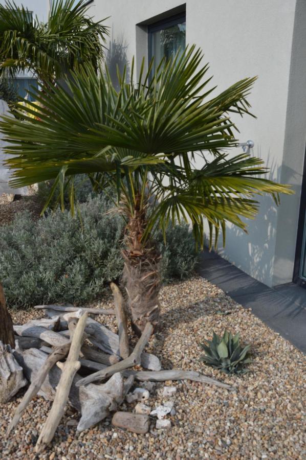 Palm Garden Apartment 1 Mikulov Exterior photo