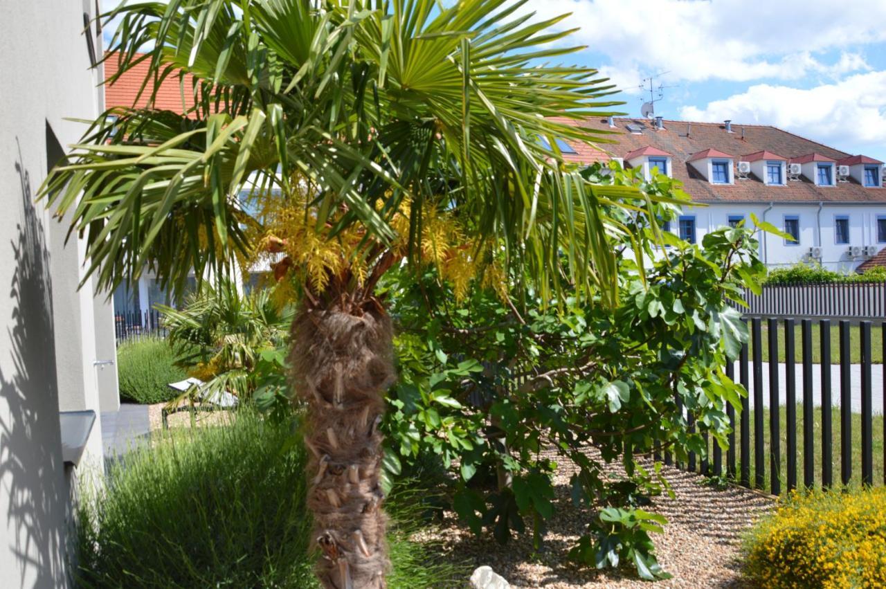 Palm Garden Apartment 1 Mikulov Exterior photo