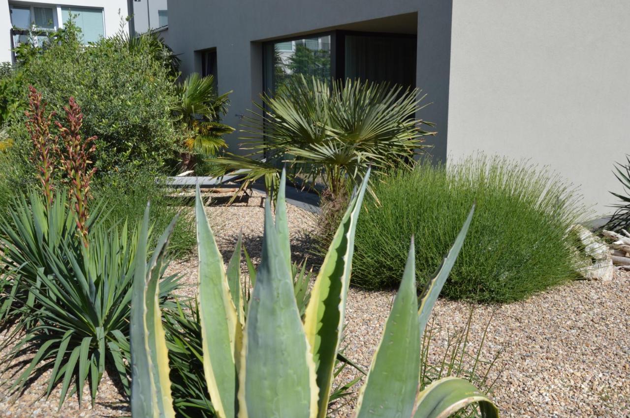 Palm Garden Apartment 1 Mikulov Exterior photo