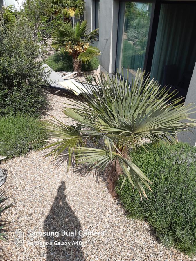 Palm Garden Apartment 1 Mikulov Exterior photo